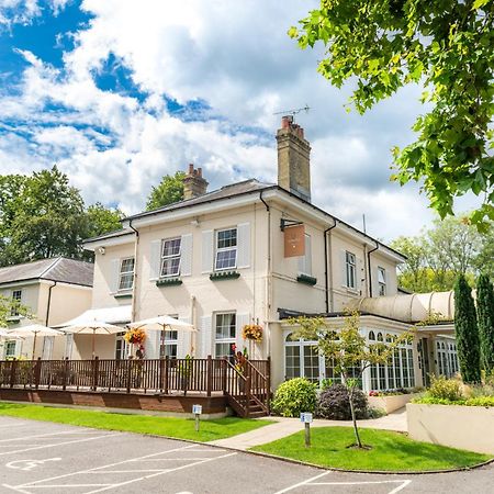 Forest Lodge Hotel Lyndhurst Εξωτερικό φωτογραφία