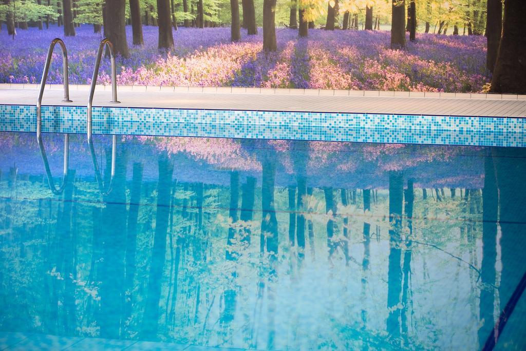 Forest Lodge Hotel Lyndhurst Εξωτερικό φωτογραφία