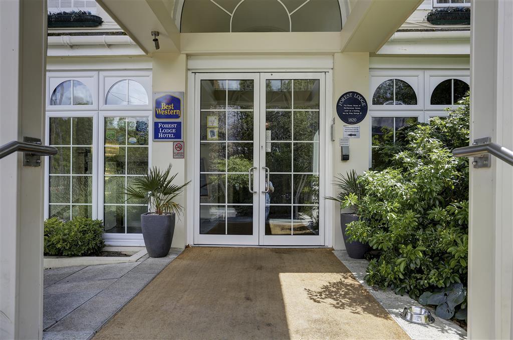 Forest Lodge Hotel Lyndhurst Εξωτερικό φωτογραφία